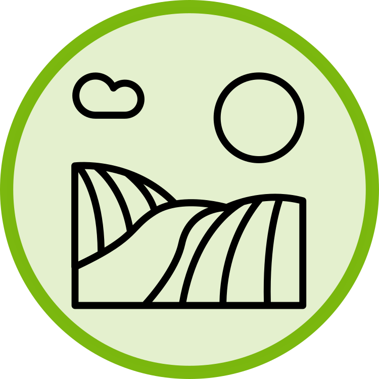 overview